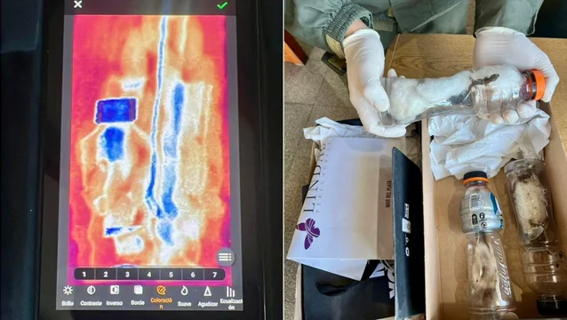 Chubut: transportaban lagartos, marihuana y más de 66 millones de pesos en un ómnibus