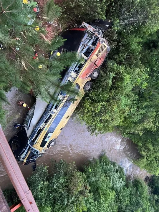 Tragedia en Misiones: un micro cayó a un arroyo y provocó, al menos, nueve muertes